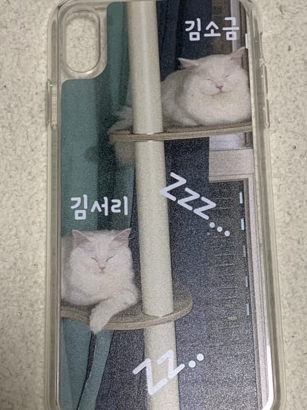 소금설이파파 리뷰 사진