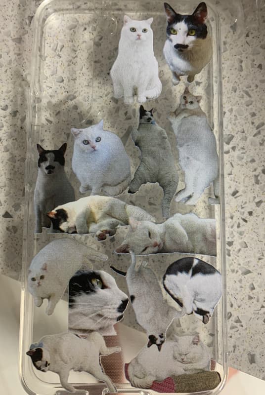 최*리 리뷰 사진