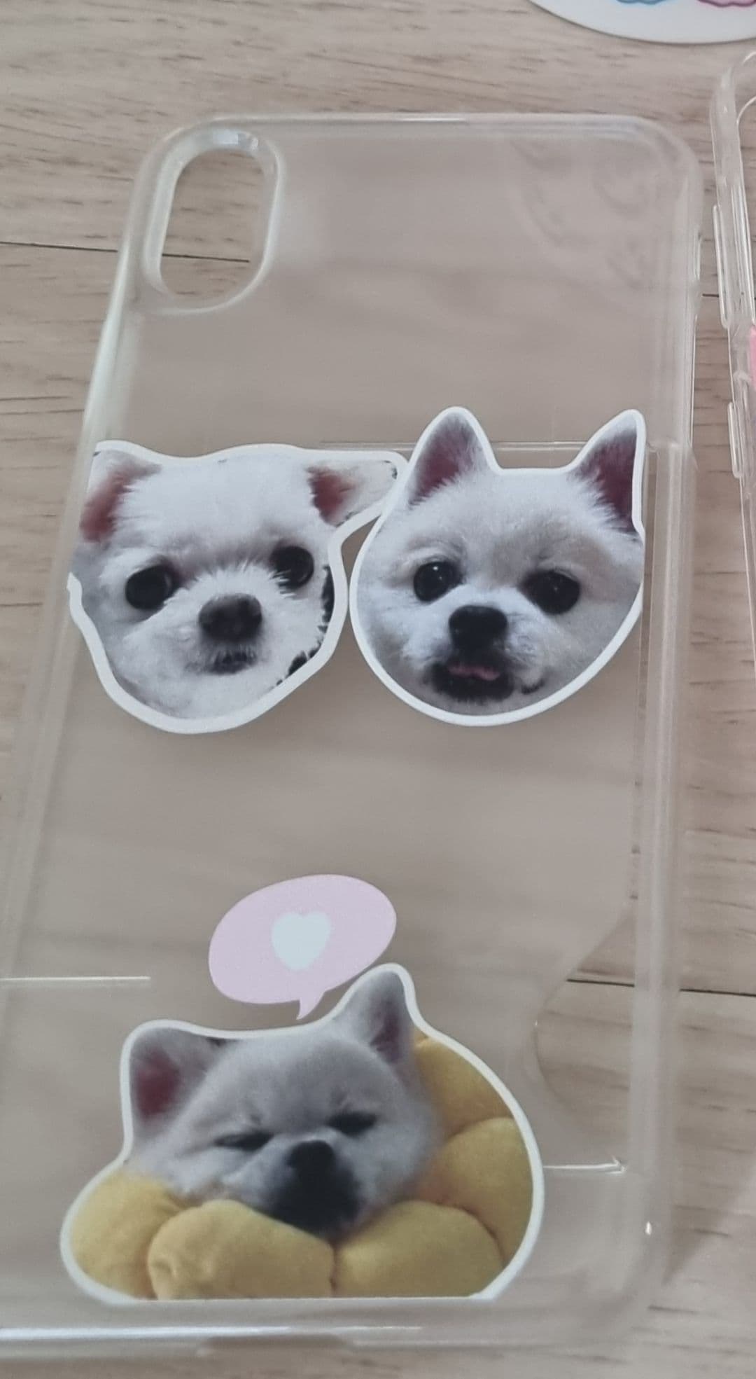 박토끼 ㆍㅅㆍ 리뷰 사진