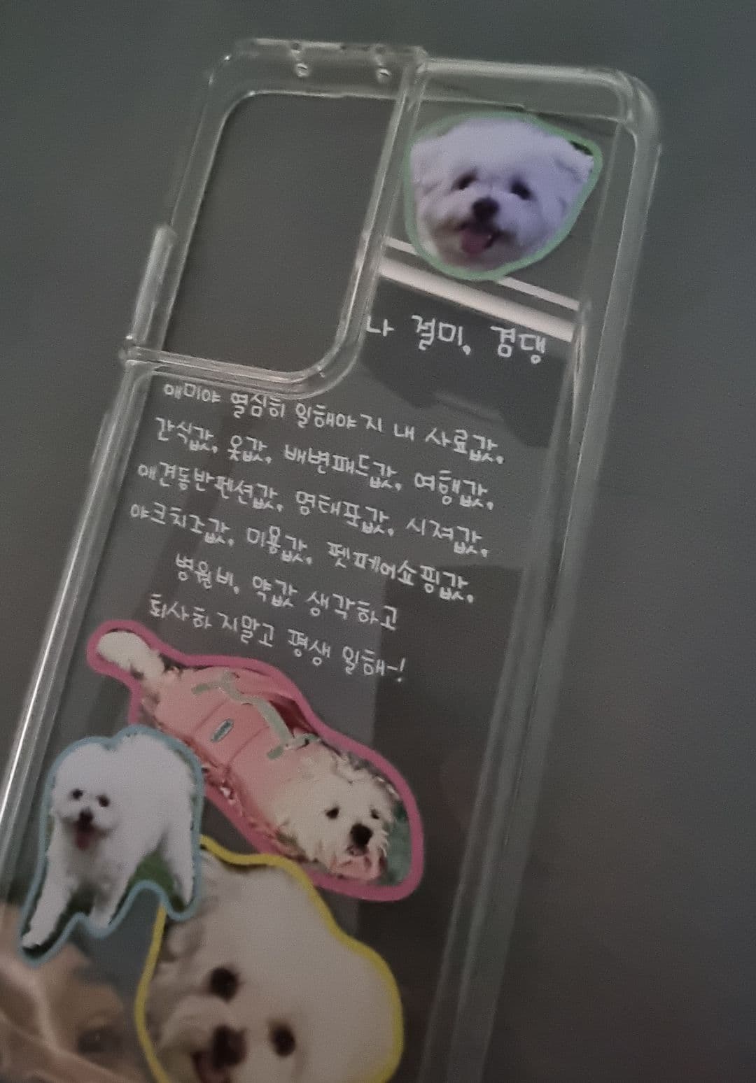 박*화 리뷰 사진