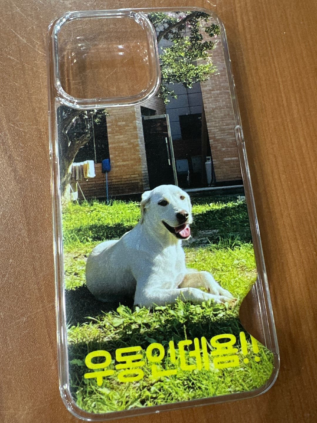 WooGyunKang🐴 리뷰 사진