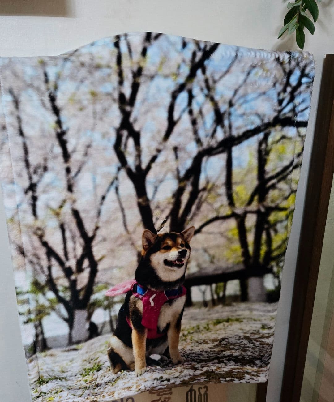 원두 리뷰 사진