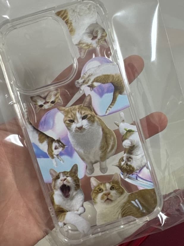 배솔희 리뷰 사진