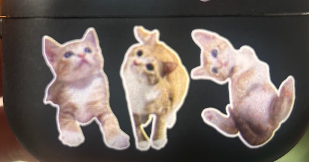 가온 리뷰 사진