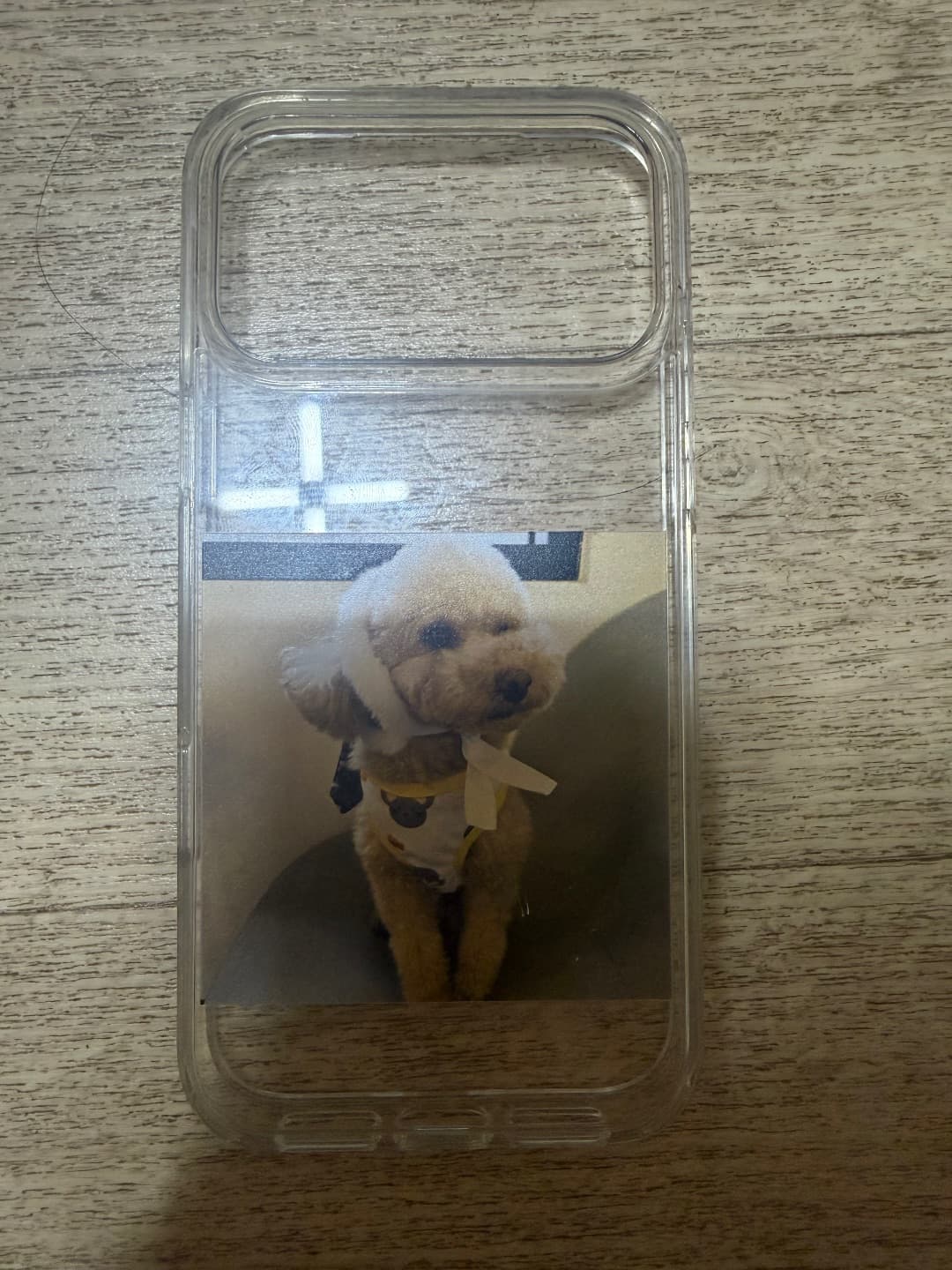 김태건 리뷰 사진