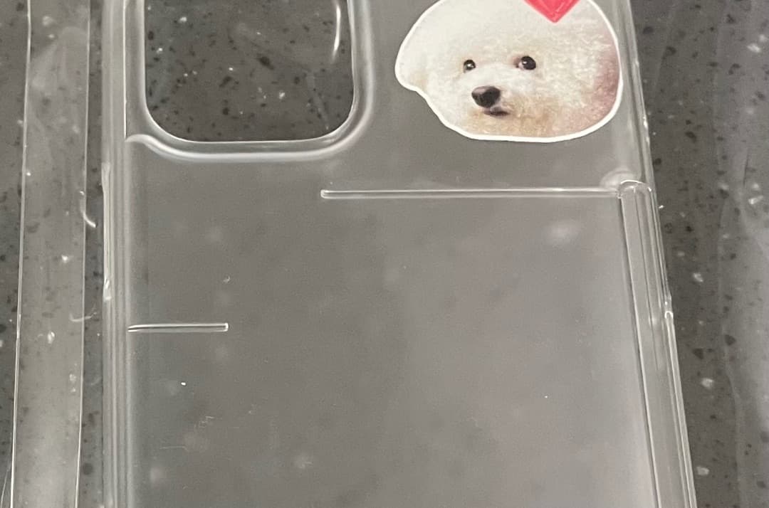 아 리 ෆ 리뷰 사진