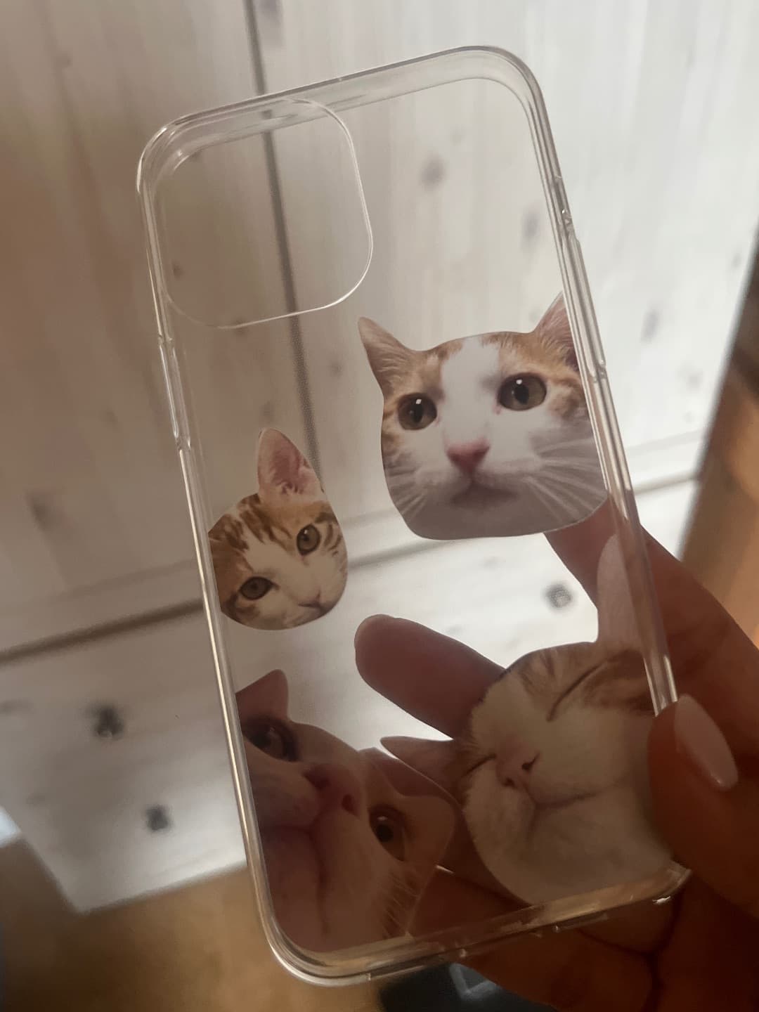 남예진 리뷰 사진