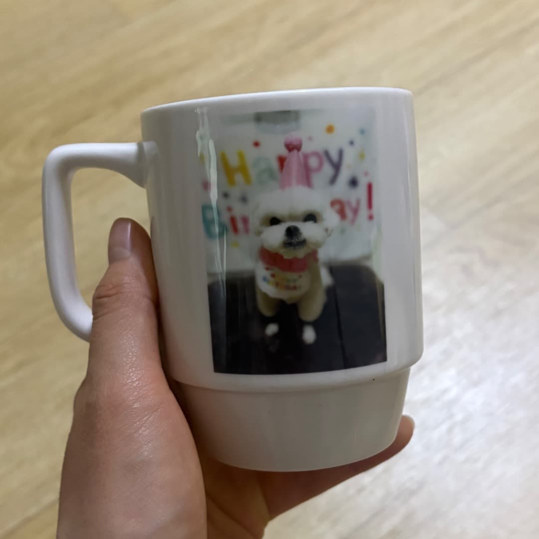 진미뇽 리뷰 사진