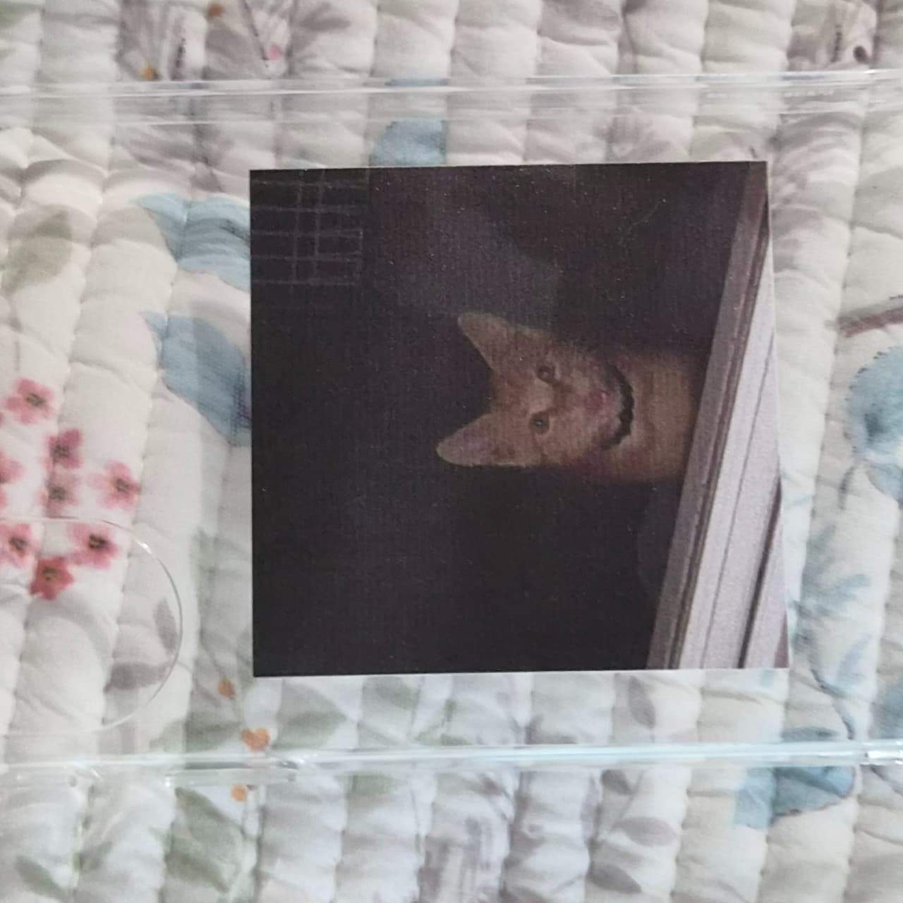 수빈 리뷰 사진