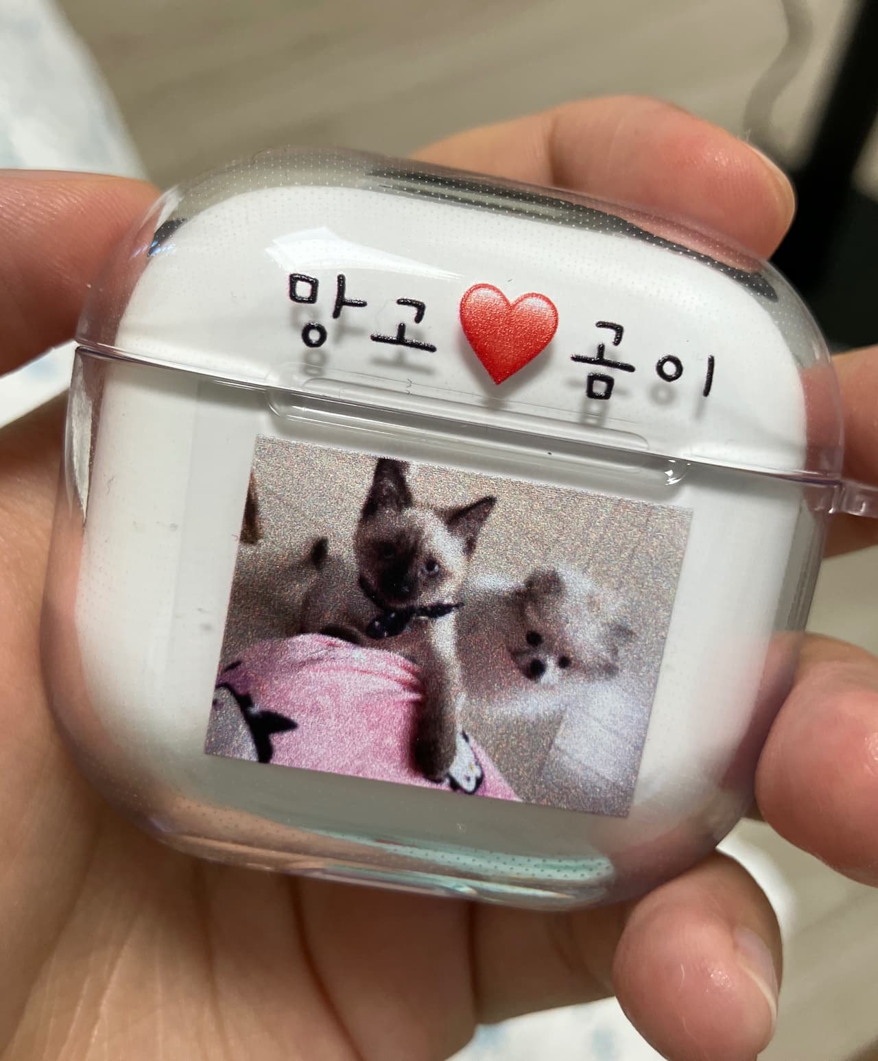 선아 리뷰 사진