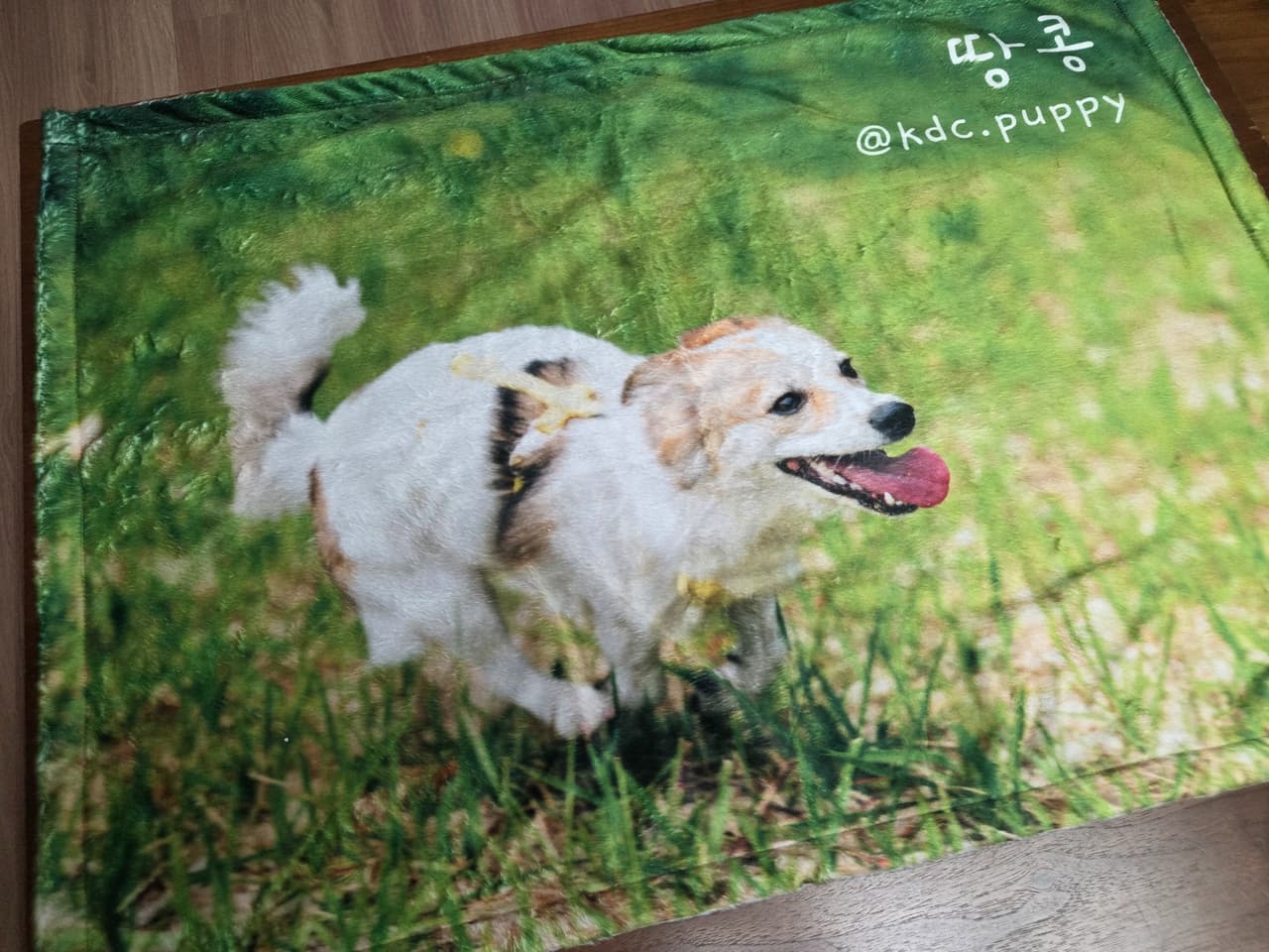 T***********g 리뷰 사진