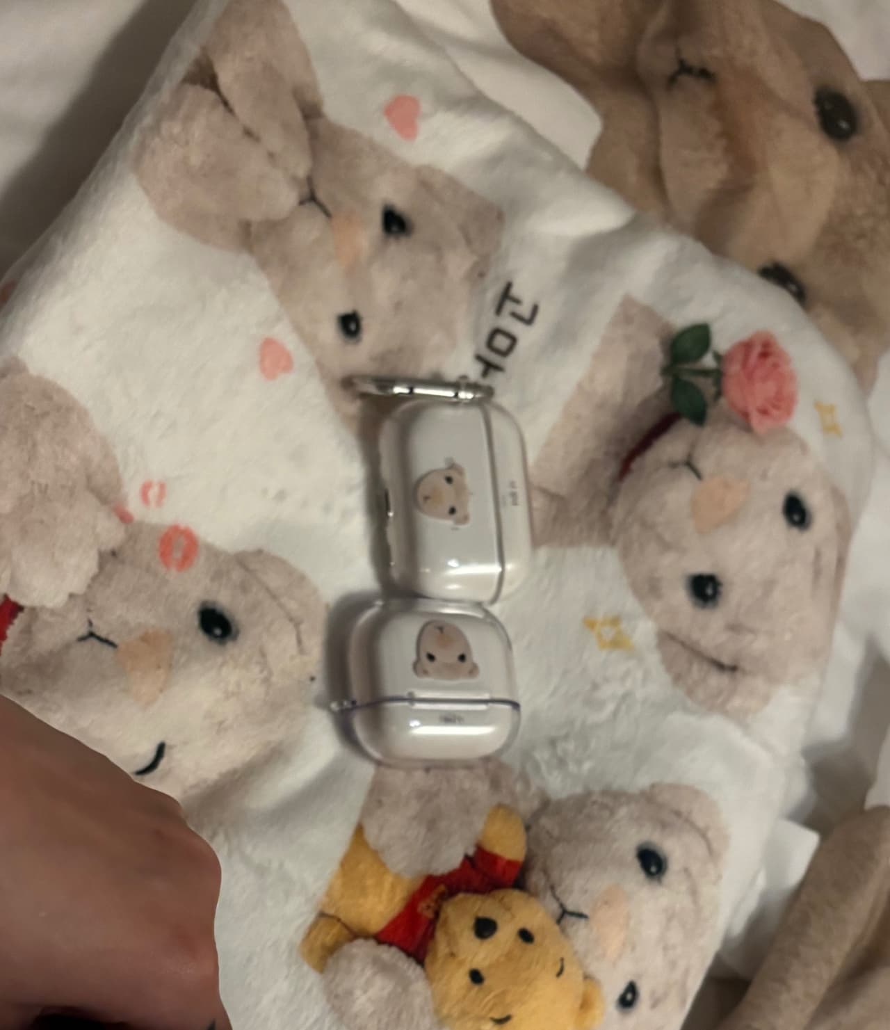 김태성 리뷰 사진