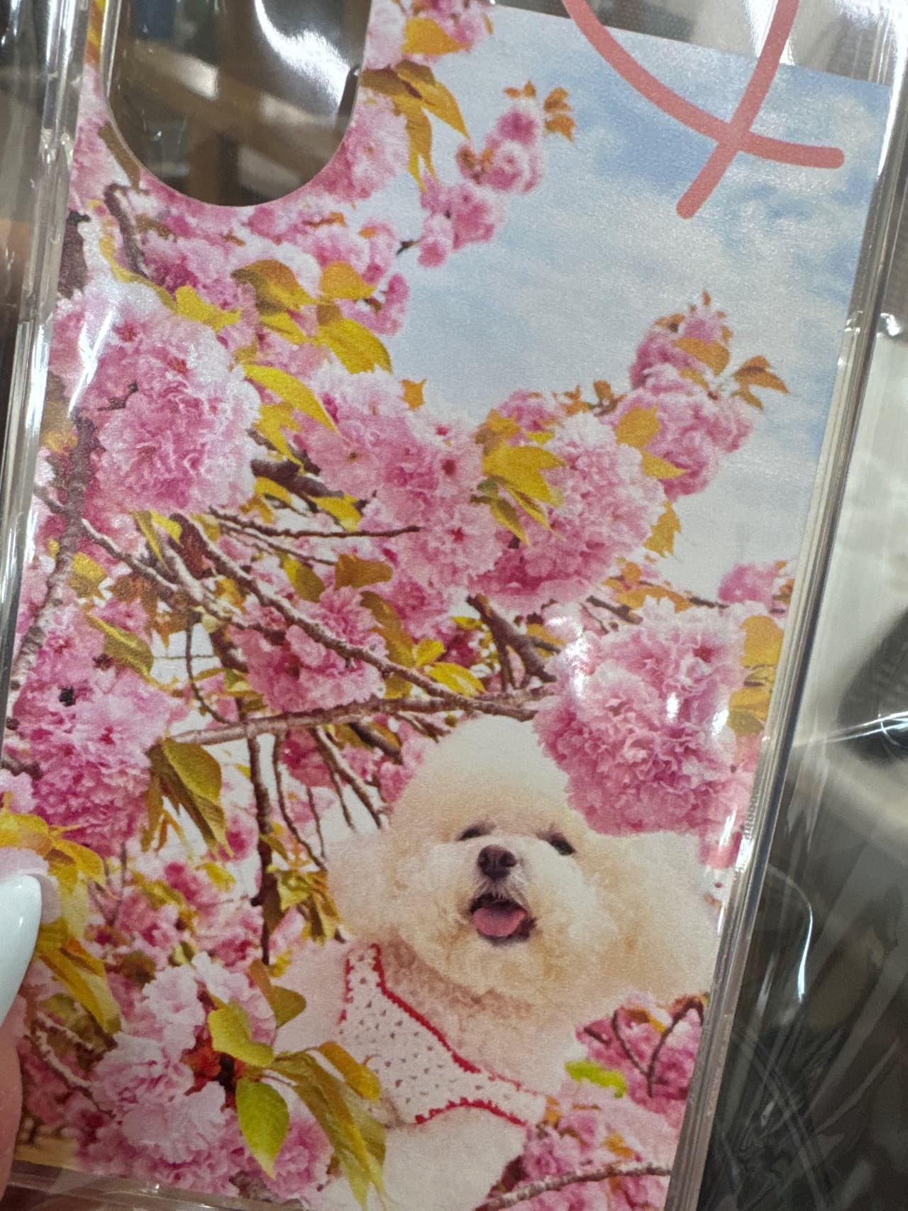 유진 리뷰 사진